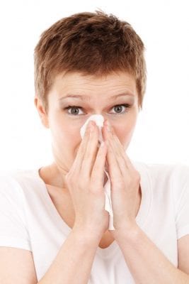 allergies-allergy-cold-41284